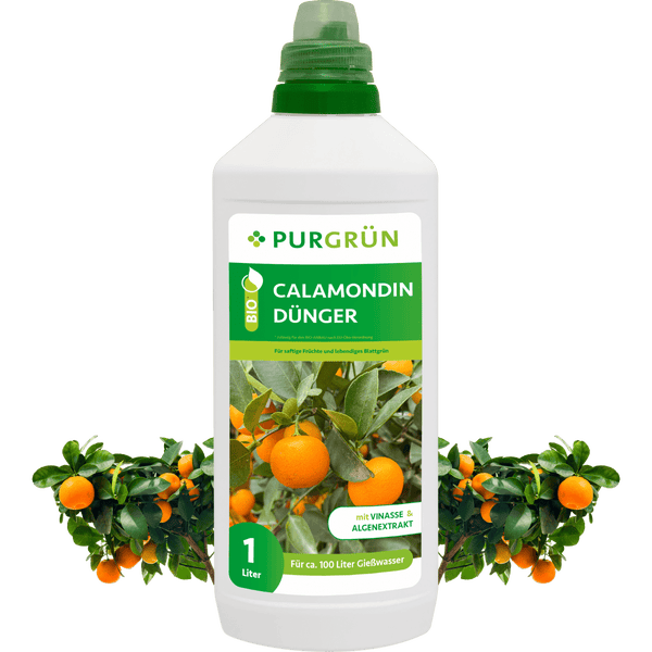Purgrün Bio-Calamondin-Dünger 1 Liter