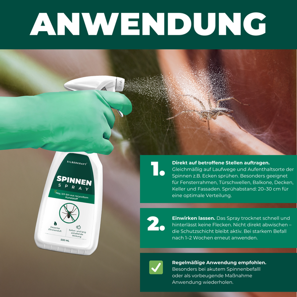 Silberkraft Spinnenspray 500 ml, Effektives Mittel gegen Spinnen in Haus, Wohnung & Garten, Langzeitwirkung bis zu 3 Monate, Alternative zu Spinnengift & Spinnenfallen