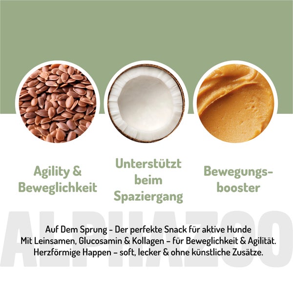 Symbolbild der Zutaten für Hundesnacks: Leinsamen, Kokosnuss, Mus