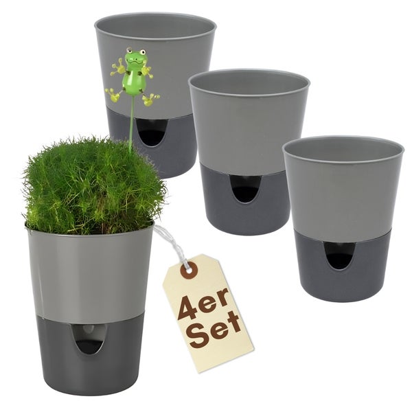 Vierer-Set graue selbstbewässernde Blumentöpfe aus Kunststoff mit einem dekorativen Frosch-Stecker und einer grünen Pflanze.