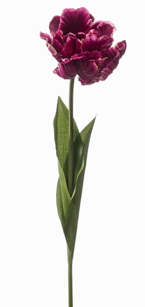 Künstliche Orchidee im Moosballen mit weißen Blüten und grünen Blättern.