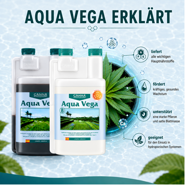 Infografik zum Canna Aqua Vega Pflanzendünger für hydroponische Systeme mit Darstellung der Nährstoffvorteile und Pflanzenwachstumsförderung.