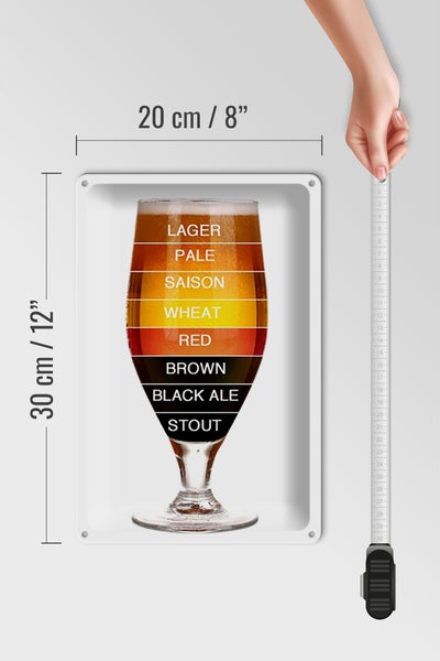 Blechschild Spruch 20x30cm Bier Bierglas lager pale saison