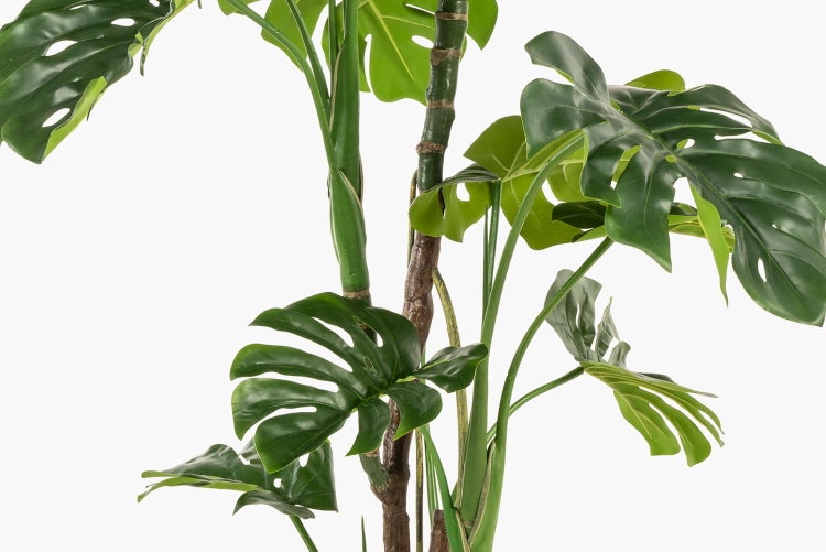 Künstliches Lampenputzergras Bündel mit langen Halmen und hellen Blütenähren.