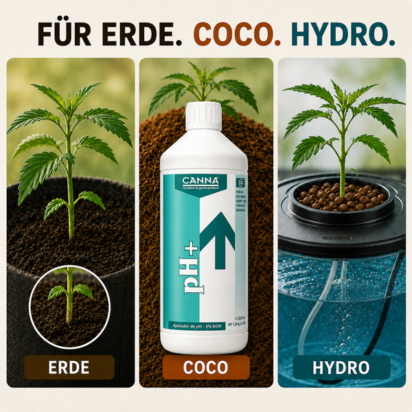 Canna pH Plus Flasche mit 1 Liter Inhalt zur pH Wert Erhöhung für Pflanzen in Erde, Coco oder Hydro Systemen.