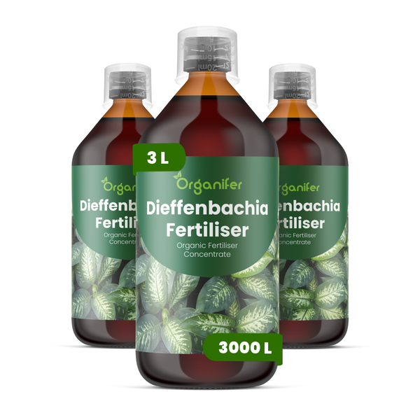 Produktvergleich von Organifer Dieffenbachia Dünger mit Fokus auf gesundes Blattwerk, kompaktes Wachstum und vinassefreie Rezeptur.