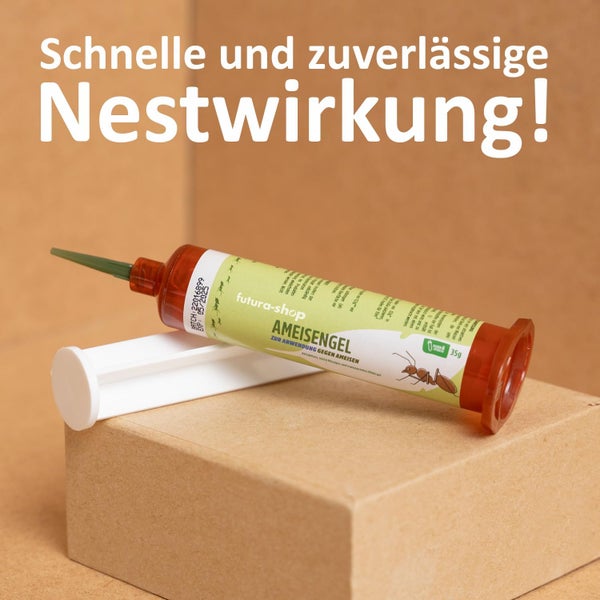 Ameisenködergel + Ameisen Granulat + Leerköderdosen im Set