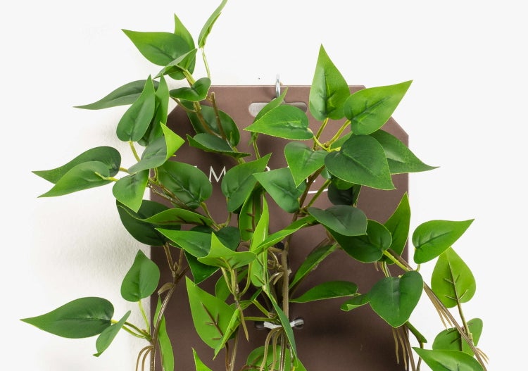 Künstliche Hängepflanze mit grünen Blättern an braunen Ranken.