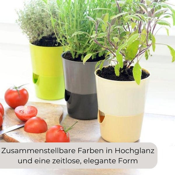 Kräutertopf mit Bewässerungssystem Kräutergarten Küche Balkon Fensterbank Selbstbewässernd Glänzend Kräuterbeet Kräuter Blumen Topf hell + dunkel elfenbein
