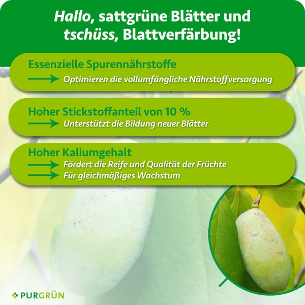 Infografik zeigt Vorteile von Purgrün Dünger für Pflanzen mit Spurennährstoffen, 10 Prozent Stickstoff und hohem Kaliumgehalt für gesundes Wachstum.