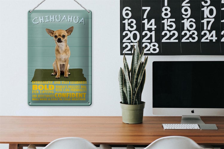 Blechschild Spruch 20x30cm Chihuahua Hund bold confident