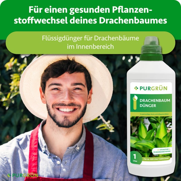 Purgrün Drachenbaum Dünger 1 Liter Flasche für circa 400 Liter Gießwasser neben einem lächelnden Gärtner mit Hut.
