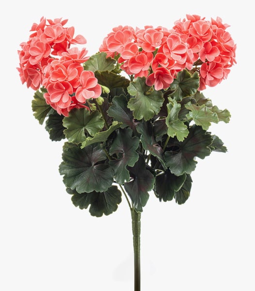 Nahaufnahme einer strukturierten grünen Anthurienblüte an einem dünnen Stiel.