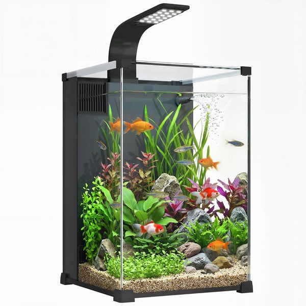 Nano-Aquarium mit Glasbecken, schwarzer LED-Beleuchtung, Filter, Wasserpflanzen, Steinen und Fischen.