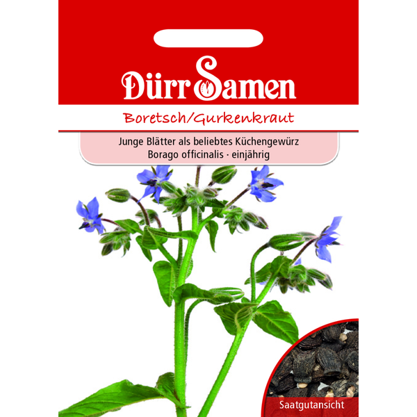 Boretsch Gurkenkraut Saatgut von Dürr Samen