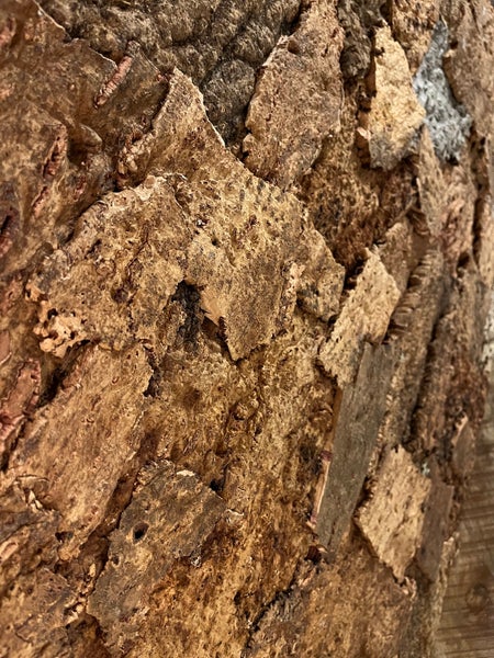 Naturkork-Wandpaneel mit grober, strukturierter Oberfläche aus Rindenstücken.