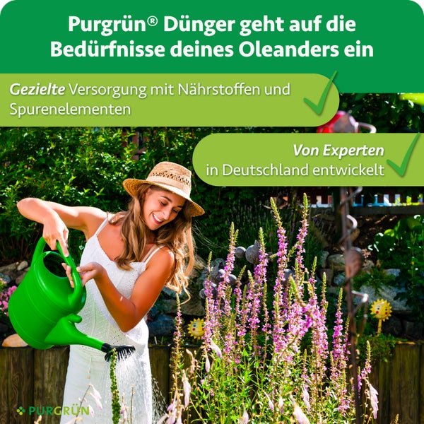 Eine Frau mit Strohhut gießt mit einer Gießkanne blühende Pflanzen in einem Garten mit Werbehinweisen für Purgrün Dünger für Oleander.