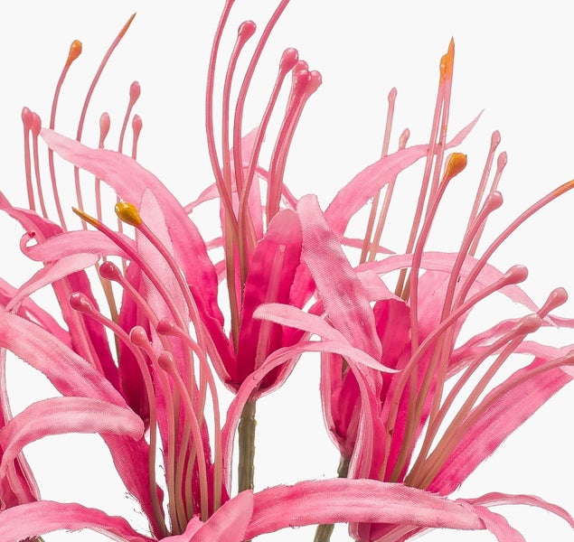 Nahaufnahme einer künstlichen rosa Nerine-Blume mit langen Blütenblättern und auffälligen Staubfäden.