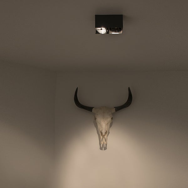 Deckenspot beleuchtet Schädel an der Wand