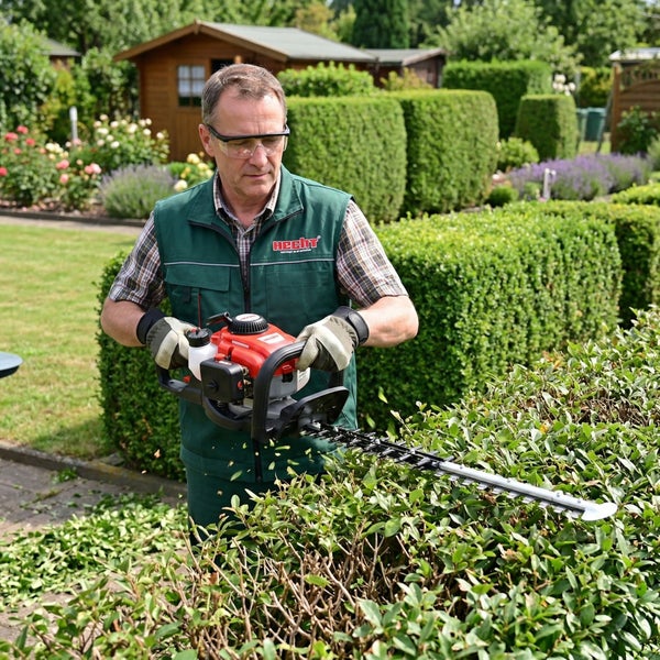Mann schneidet Hecke mit einer Hecht Heckenschere im Garten.