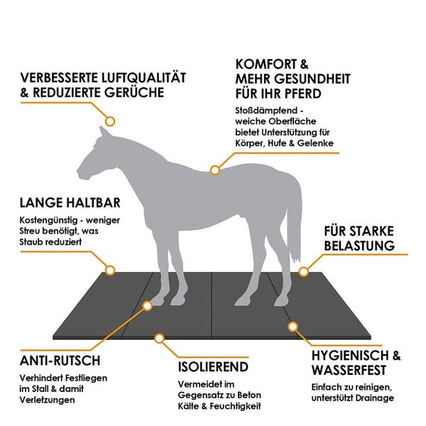 FLOORDIREKT Stallmatte aus Gummigranulat - für Stallböden - Vielseitige Nutzung - 1,97 cm Stärke - 62,5 x 500 cm