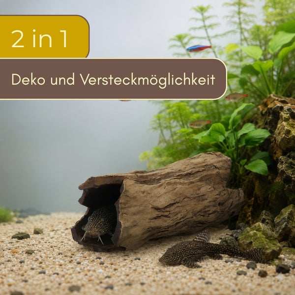 Aquarium-Dekoration Baumstamm als Versteckmöglichkeit für Fische, 2-in-1 Funktion als Dekoration und Rückzugsort, mit Welsen im Aquarium.