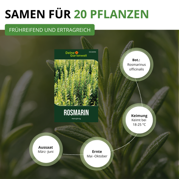 Infografik für Deine Gartenwelt Rosmarin-Samen für 20 Pflanzen. Aussaat März bis Juni, Ernte Mai bis Oktober, Keimung bei 18 bis 25 Grad Celsius.