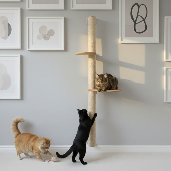 Wandkratzbaum mit Sisalsäule und zwei Liegeplattformen aus Holz, an einer Wand mit Bilderrahmen befestigt, mit drei spielenden Katzen.
