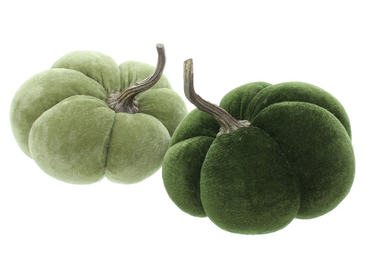 Zwei dekorative Samtkürbisse als herbstliche Wohndekoration
