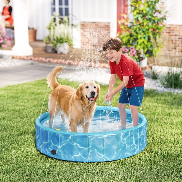 Hund und Junge spielen im Garten mit einem Planschbecken mit Wassersprinkleranlage
