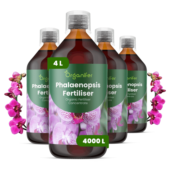 Organifer Phalaenopsis Dünger, organisches Düngerkonzentrat, 4 Liter Flasche, ausreichend für 4000 Liter.