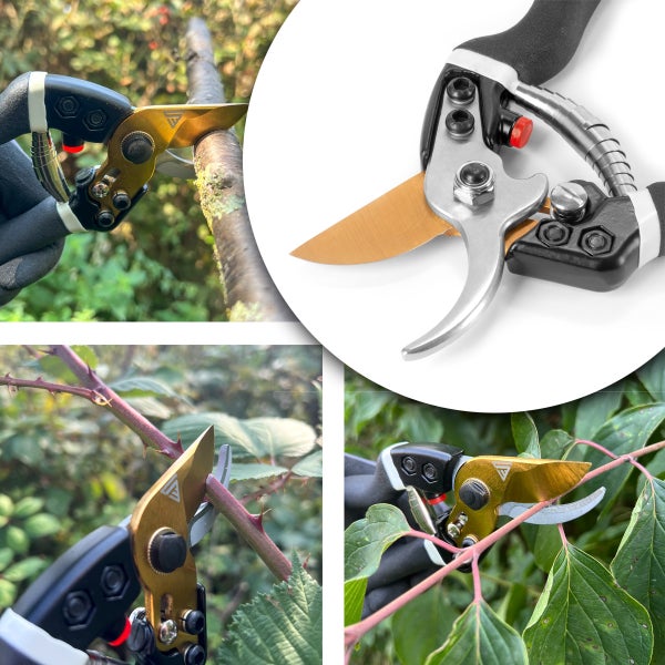 Bypass-Gartenschere mit goldfarbener Klinge im Einsatz beim Schneiden von Ästen und dornigen Zweigen im Garten.