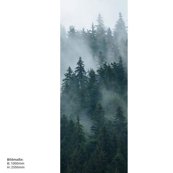 Waldlandschaft mit Nebel