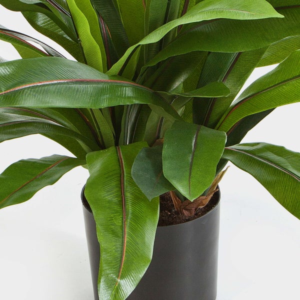 Künstliche Pflanze Asplenium mit grünen Blättern und dunkelroter Blattader in einem schlichten schwarzen Topf.