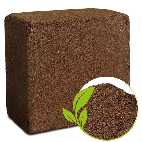 Nahaufnahme von Kokoserde für Pflanzen