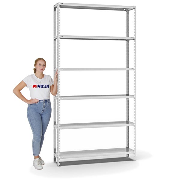 PROREGAL Fachbodenregal Schraubsystem Light-Duty Grundregal HxBxT 250 x 130 x 30 cm 6 Ebenen Fachlast 125 kg Beidseitig Nutzbar Lichtgrau