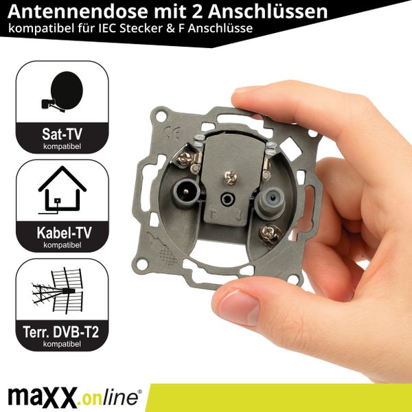 Koaxialkabeldose mit Schraub- und Klemmtechnik für Kabelanschluss