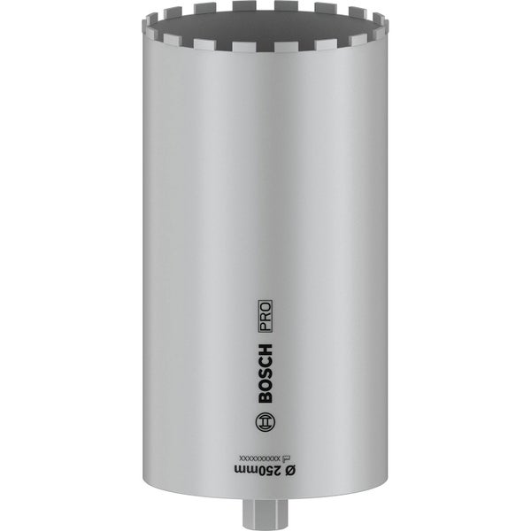 Bohrkrone mit 250 mm Durchmesser von Bosch Pro