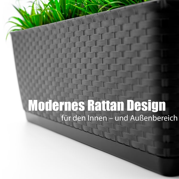 BigDean Blumenkasten Balkon Rattan Optik in Anthrazit 60 cm Länge aus robustem & UV-beständigem Kunststoff – Balkonkasten mit Metall Halterung & Bewässungssystem – Made in Europe