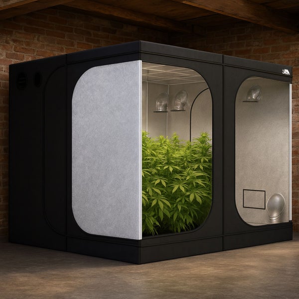 Modulares Growzelt mit Innenbeleuchtung, Belüftung und Pflanzen in einem hellen Raum mit Ziegelwand. Homebox Logo.