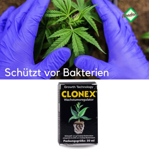 Clonex Wurzelgel 50 ml – Schnelles, sicheres Wurzelwachstum für bis zu 100 Stecklinge | Schutz, Hygiene & einfache Anwendung
