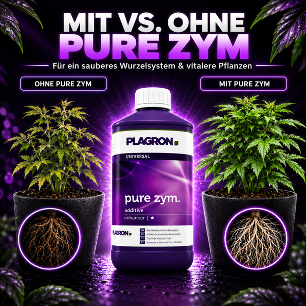 Plagron Pure Zym Vergleichsbild zeigt Pflanzenwachstum mit und ohne das Wurzelenzym Produkt.