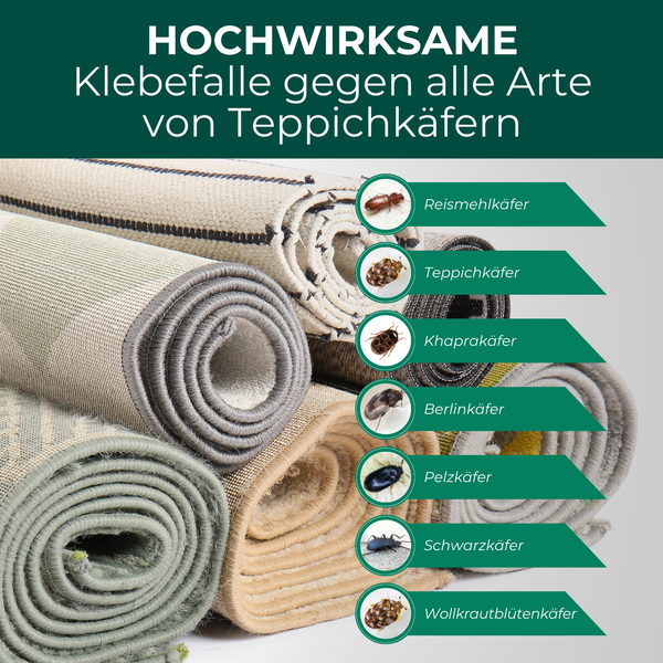 Klebefalle gegen Teppichkäfer und andere Käferarten