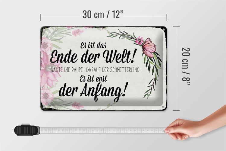 Blechschild Spruch 30x20cm es ist das Ende der Welt sagte