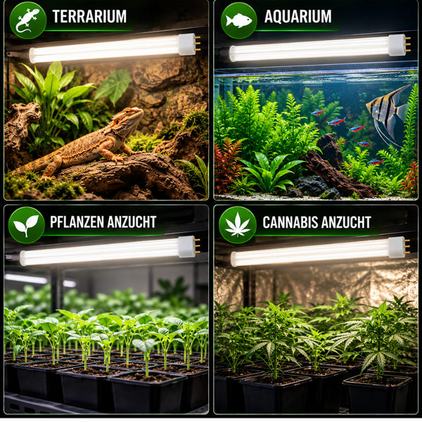Vier Anwendungsbeispiele für LED Pflanzenlampe in Terrarium, Aquarium, Pflanzenanzucht und Cannabisanzucht.