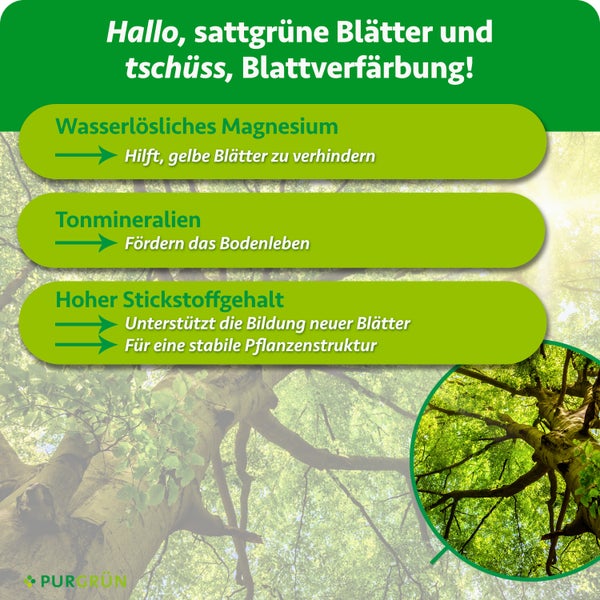 Infografik über die Vorteile von Pflanzendünger mit Magnesium, Tonmineralien und Stickstoff für gesundes Blattwachstum von Purgrün.