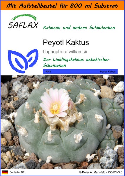 SAFLAX Garden in the bag - Peyotl Kaktus  - Lophophora williamsii - 20 Samen - Mit Anzuchtsubstrat im praktischen, selbst aufstellenden Beutel