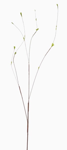 Künstliche Ficus elastica Gummibaum Pflanze im schwarzen Topf mit vielen grünen Blättern.