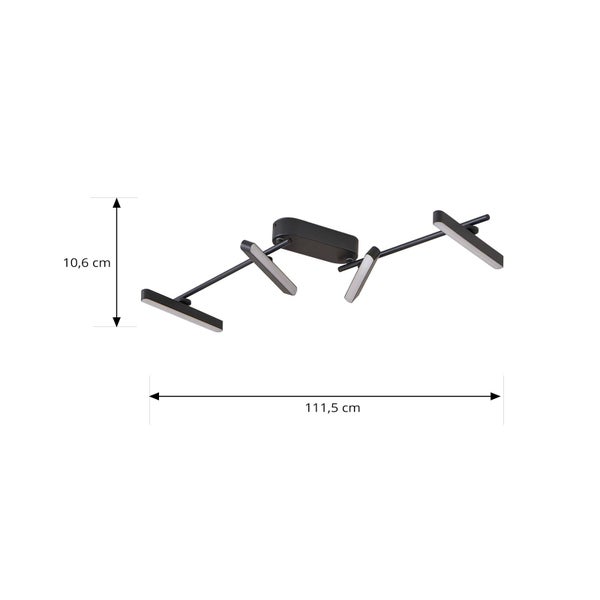 Bonsai-Feige in einem dekorativen Pflanzgefäß