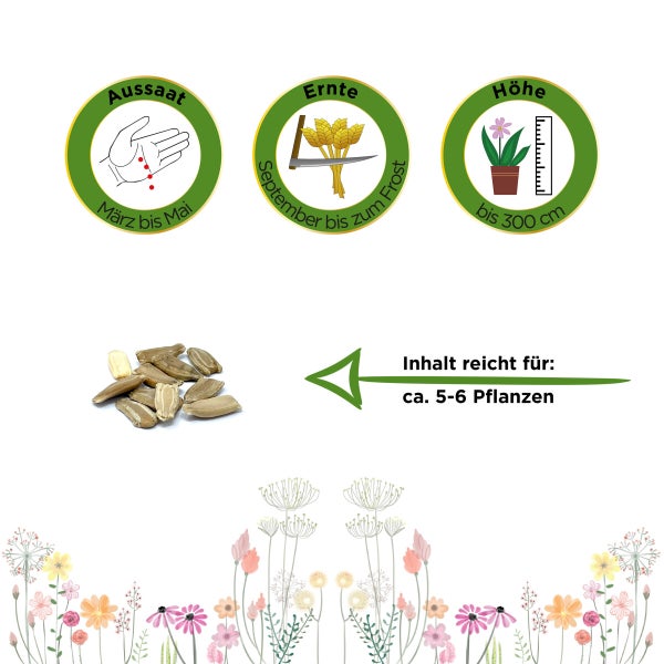 Flaschenkürbis Mischung Samen von Deine Gartenwelt
